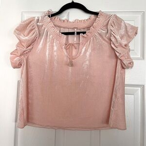 Free People Terese Velvet Top in Pink Tint size XS NWOT